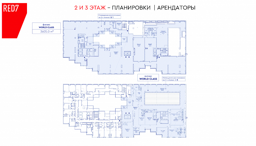 ГАБ РЕД7: продажа помещений с действующими арендаторами - Продажа ПСН